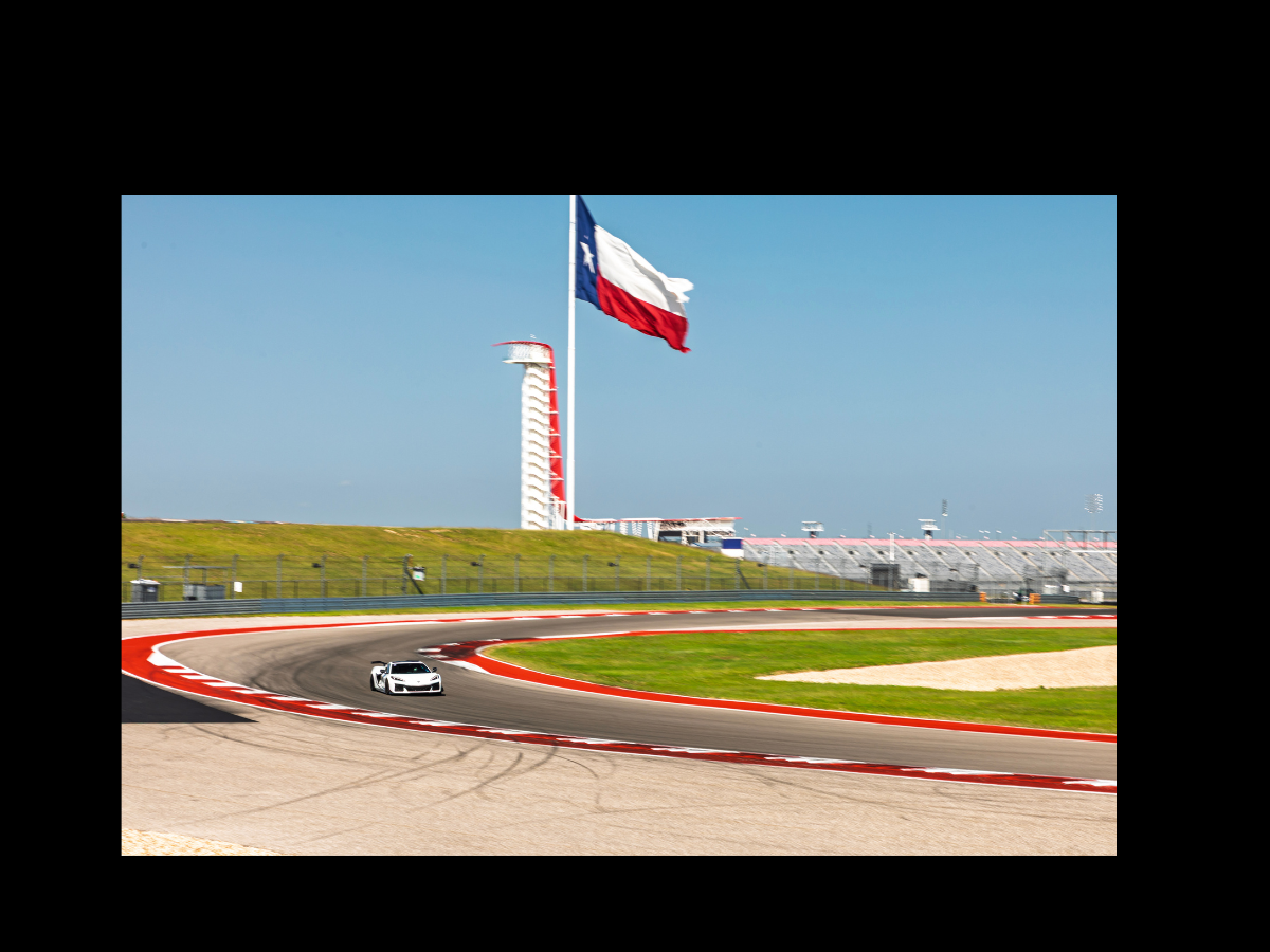 Untitled design (17)