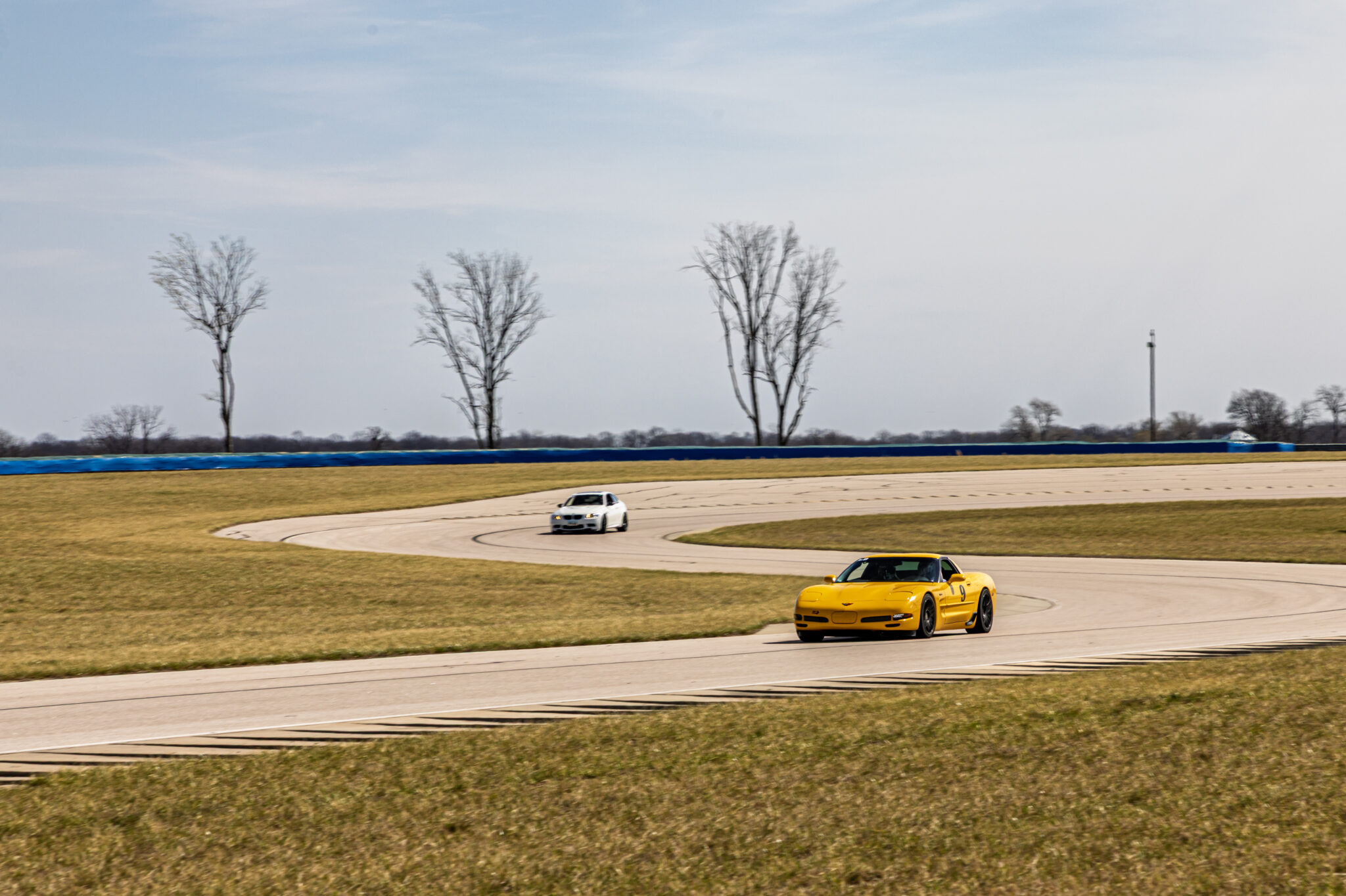 Corvette @ Hedge Hollow